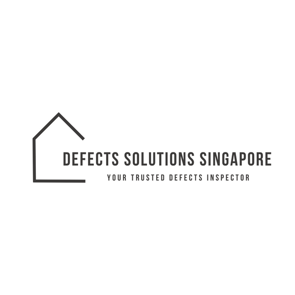 Defects Solutions Singapore | Your Trusted Defects Inspection Service